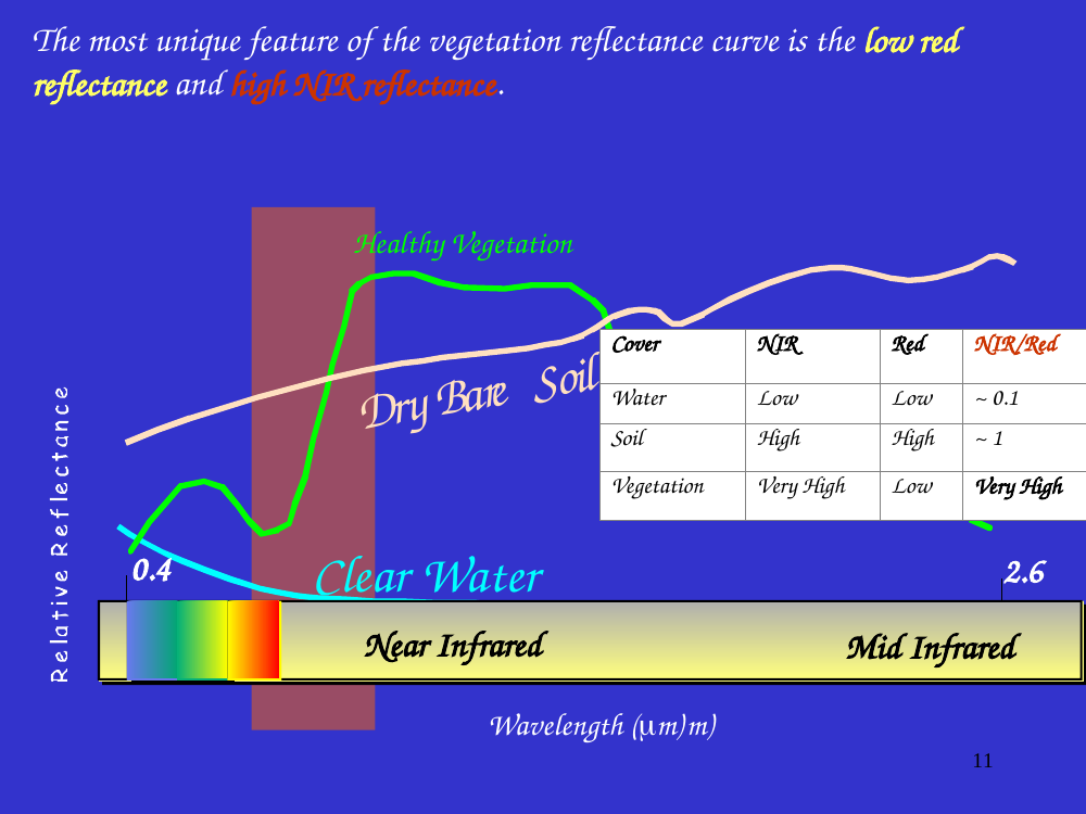 Vegetation reflectance curve