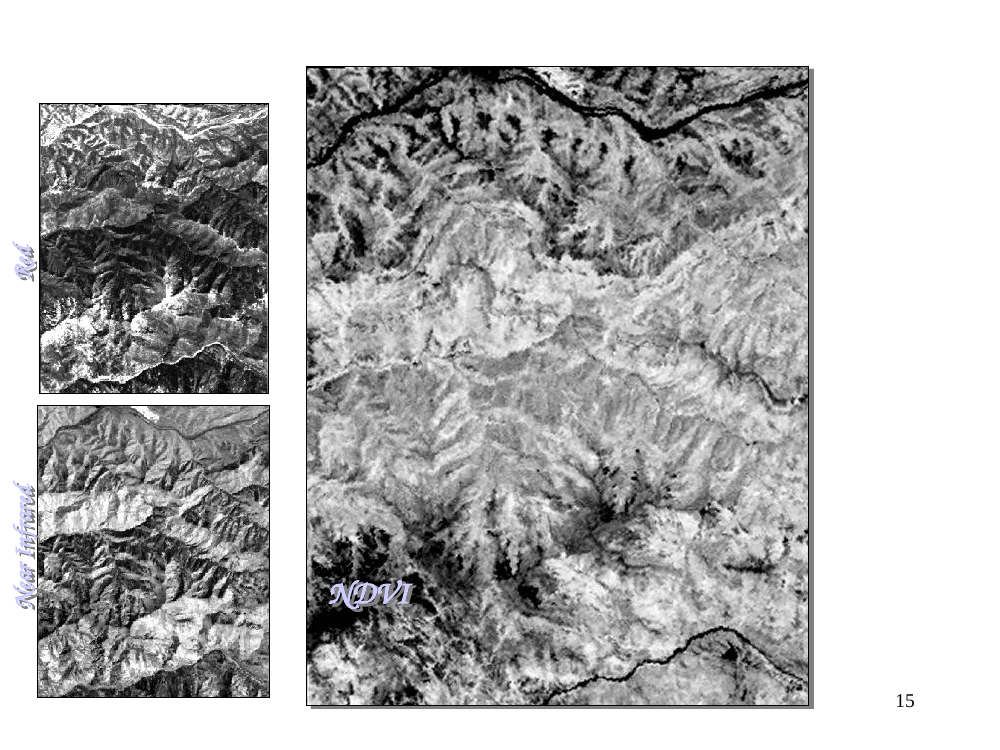 Example NDVI image