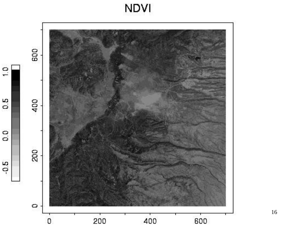 NDVI image