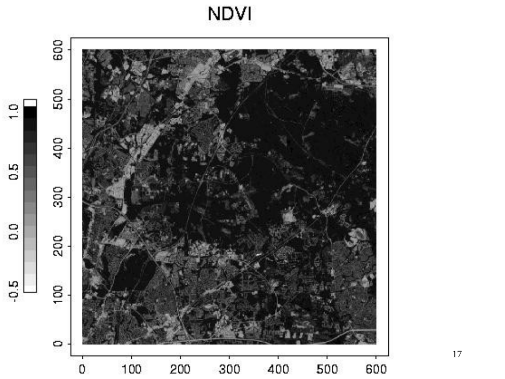 NDVI image (second scene)