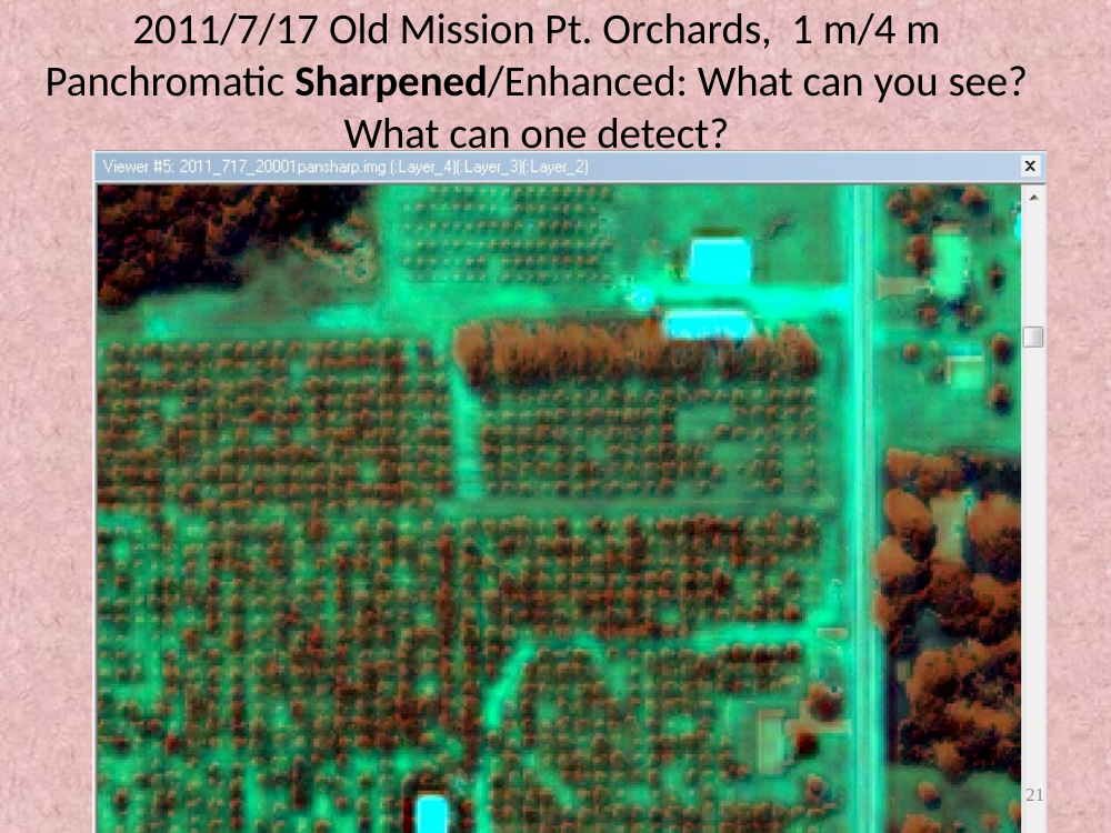 Pan-sharpened IKONOS image of Old Mission Point orchards