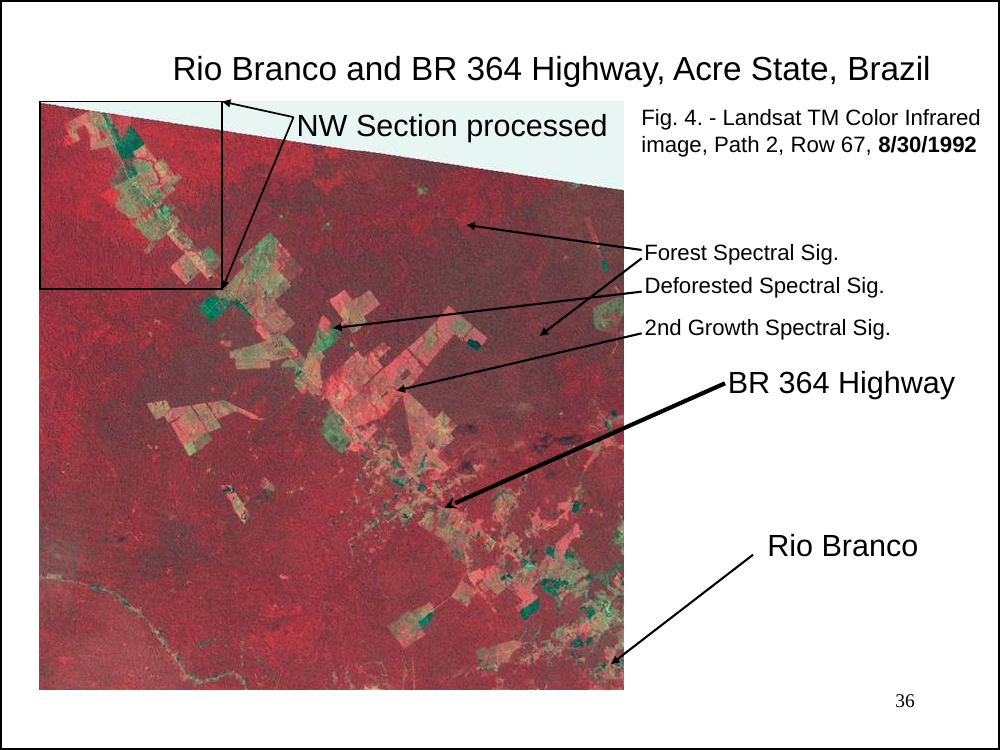 Rio Branco color infrared Landsat image