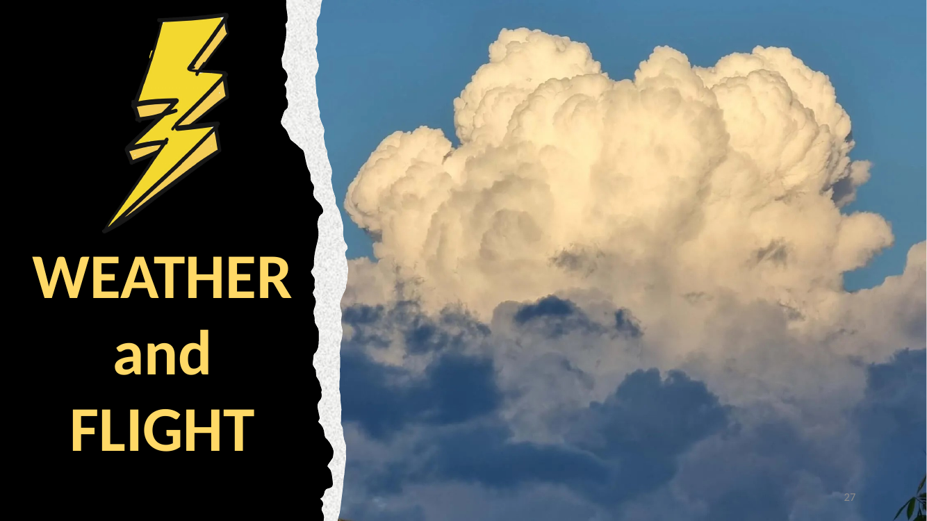 Section — Weather and Flight